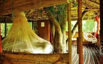 FabHotel Safari Land Resorts, Ooty 2